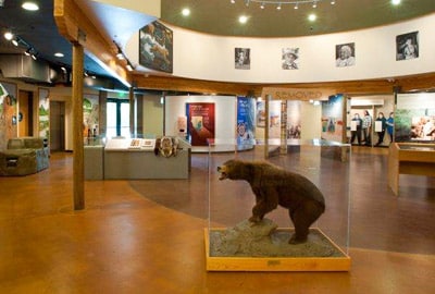 Best Museums In Roseville